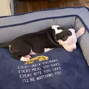 Meet your Posher, Nicholas